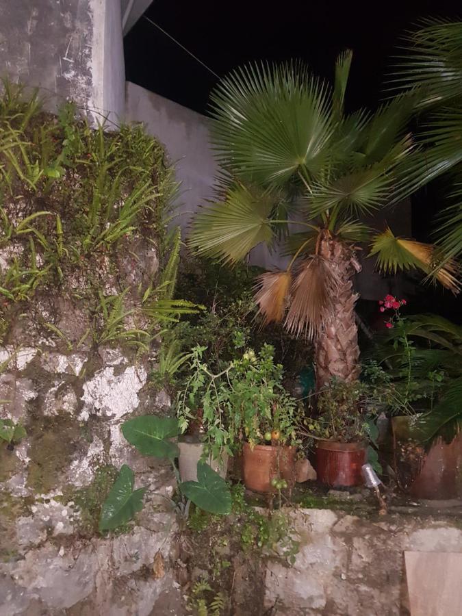 Posada Don Felipe คูเอตซาลันเดลโปรเกรโซ ภายนอก รูปภาพ